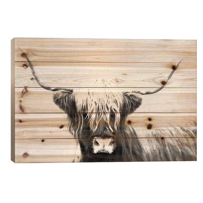 Highland Longhorn Print On Wood by Danita Delimont - Multi-Color - 26x40x1.5