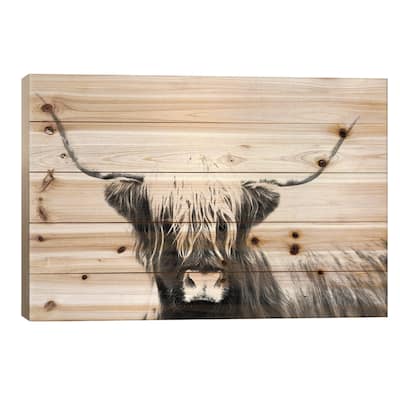Highland Longhorn Print On Wood by Danita Delimont - Multi-Color