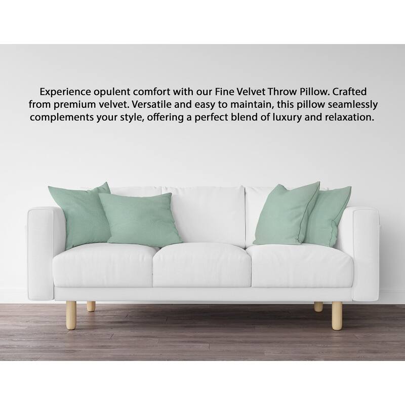 A1HC Pack of 2 Velvet Throw Pillow Insert, Hypoallergenic Down Alternative Fill