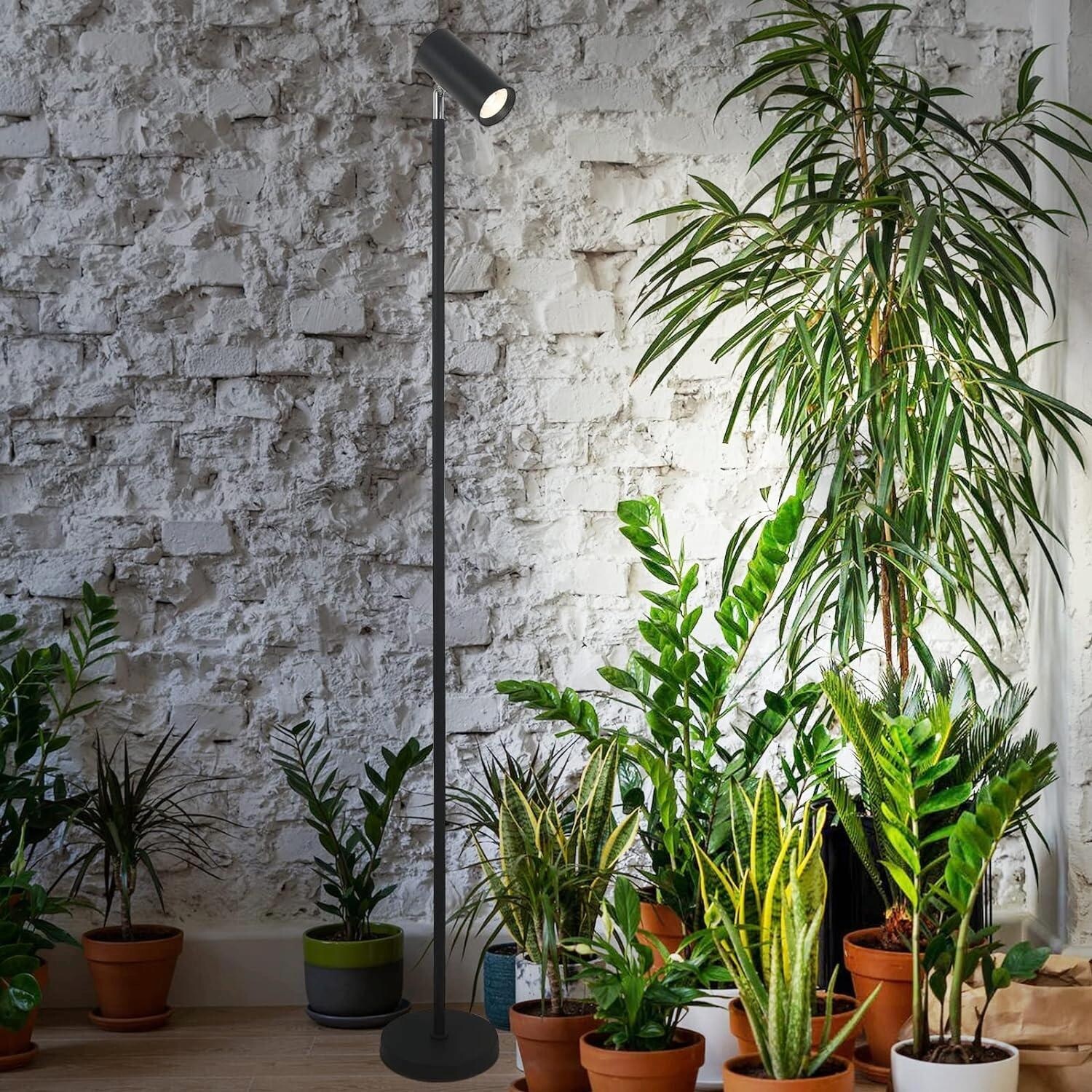Full Spectrum Grow Light with Adjustable Height 360 Rotation and Timer Black