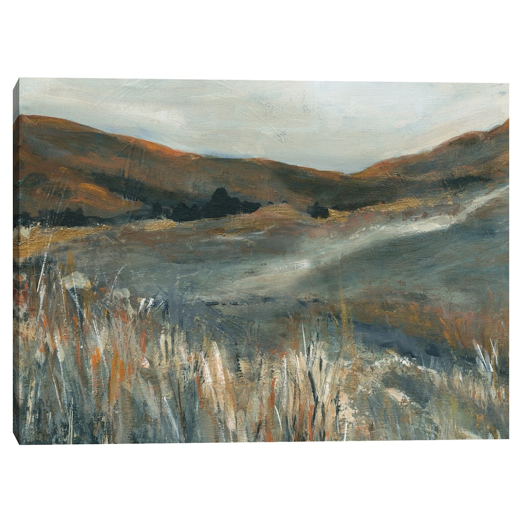 Copper Sunset by Carol Robinson Canvas Art Print