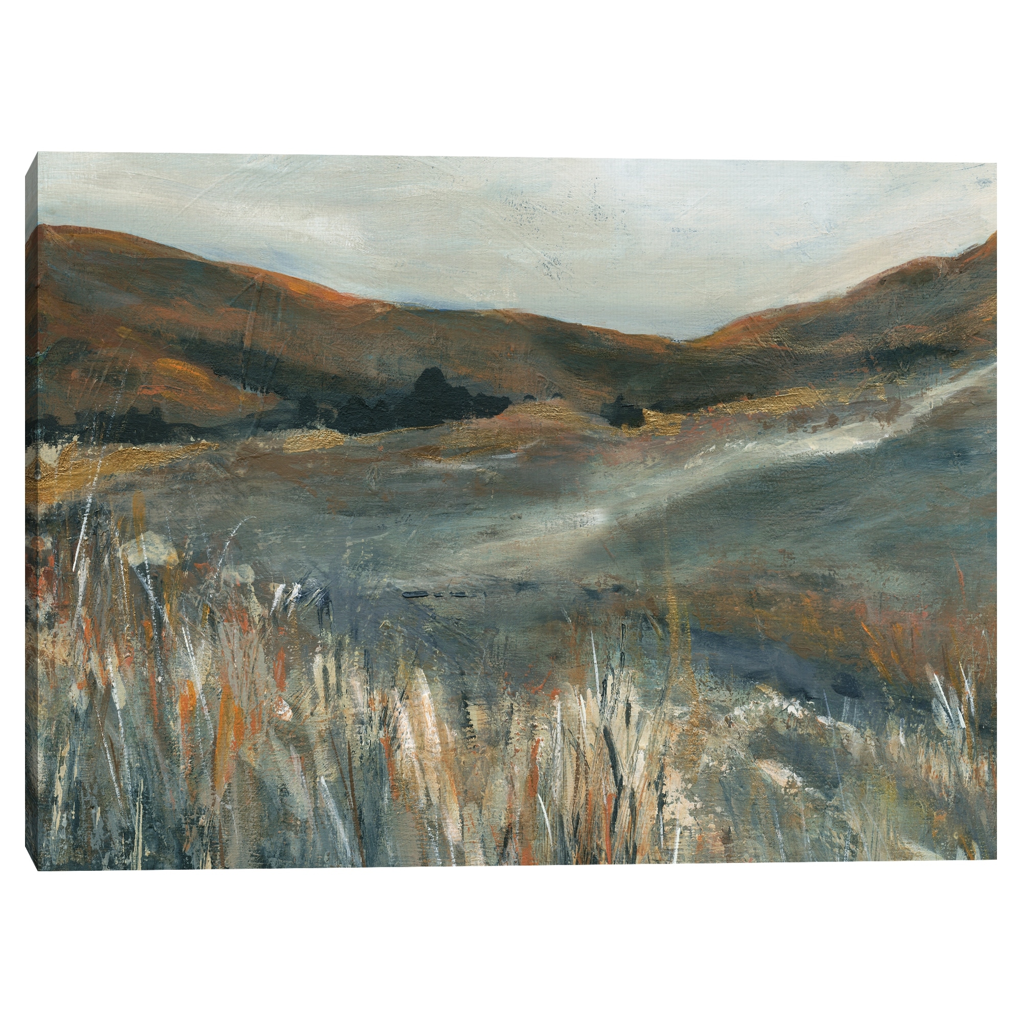 Copper Sunset by Carol Robinson Canvas Art Print