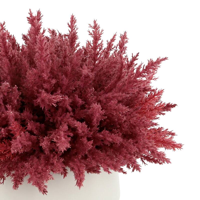 Pampas Arrangement in a Fiberstone Vase - Red, White