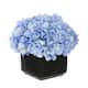 Option Blue