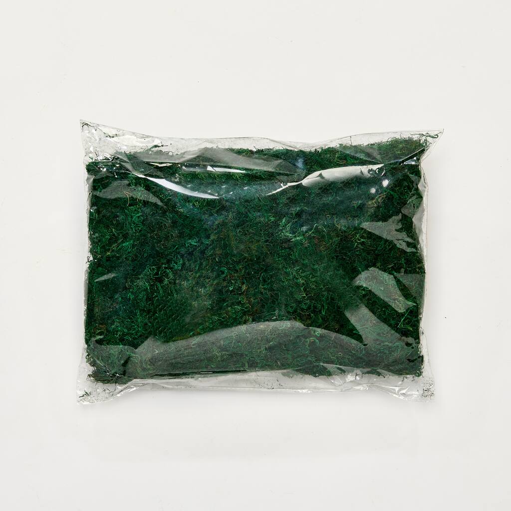 3.5oz Bag of Green Moss, Set of 6 - 9