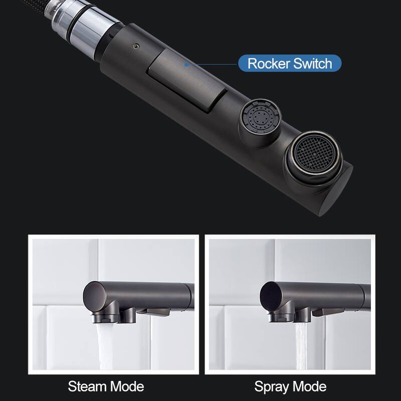 ALPHAUCET Single Handle Pull-Out Sprayer Kitchen Faucet