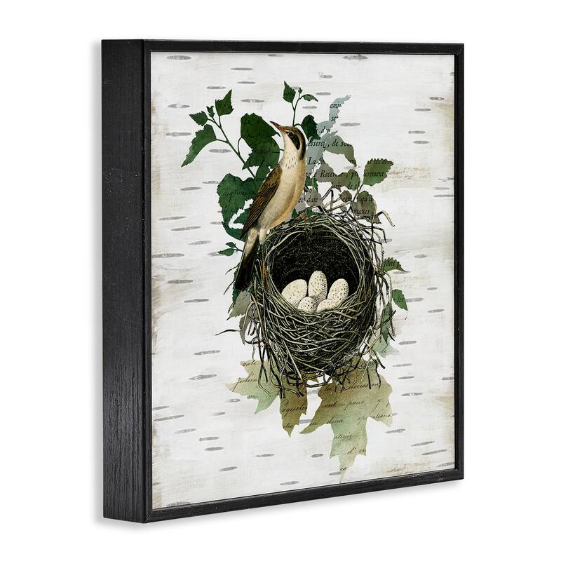Stupell Vintage Bird Nest & Flora Framed Giclee Art Design By Susan Arnot