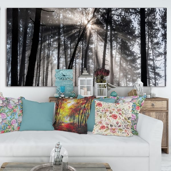 slide 1 of 12, Sunbeams through Black White Forest - Forest Canvas Wall Art Print 60 in. wide x 28 in. high
