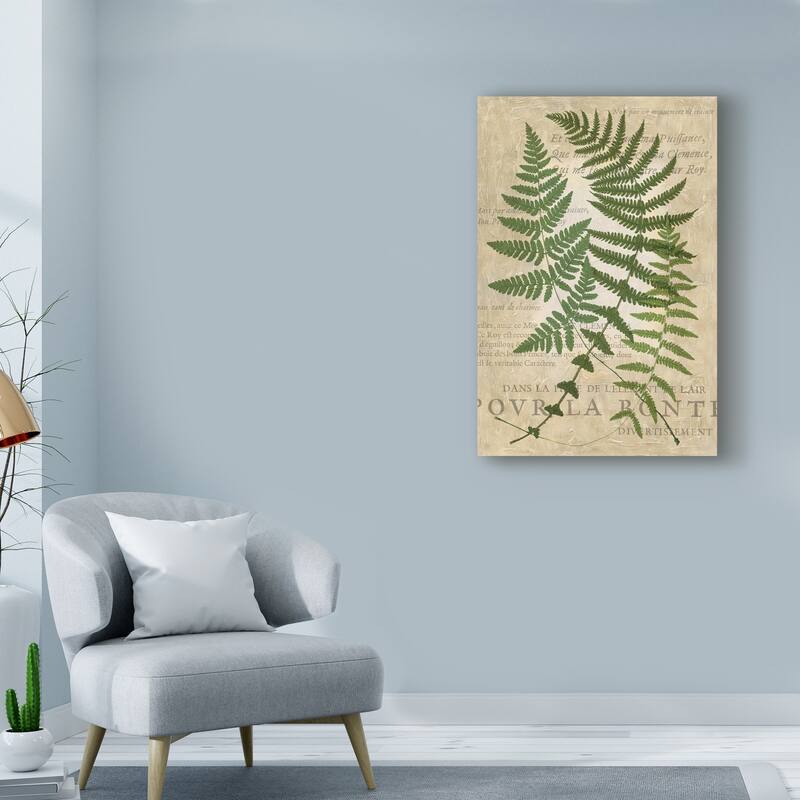 Vision Studio 'Fern Folio I' Canvas Art