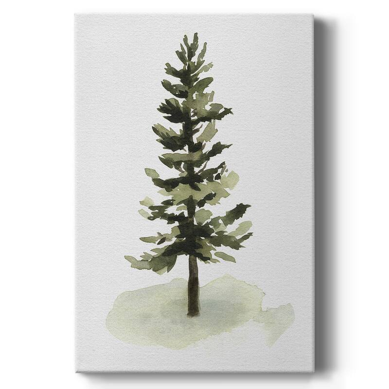 Watercolor Pine II Premium Gallery Wrapped Canvas - Ready to Hang - 18X27