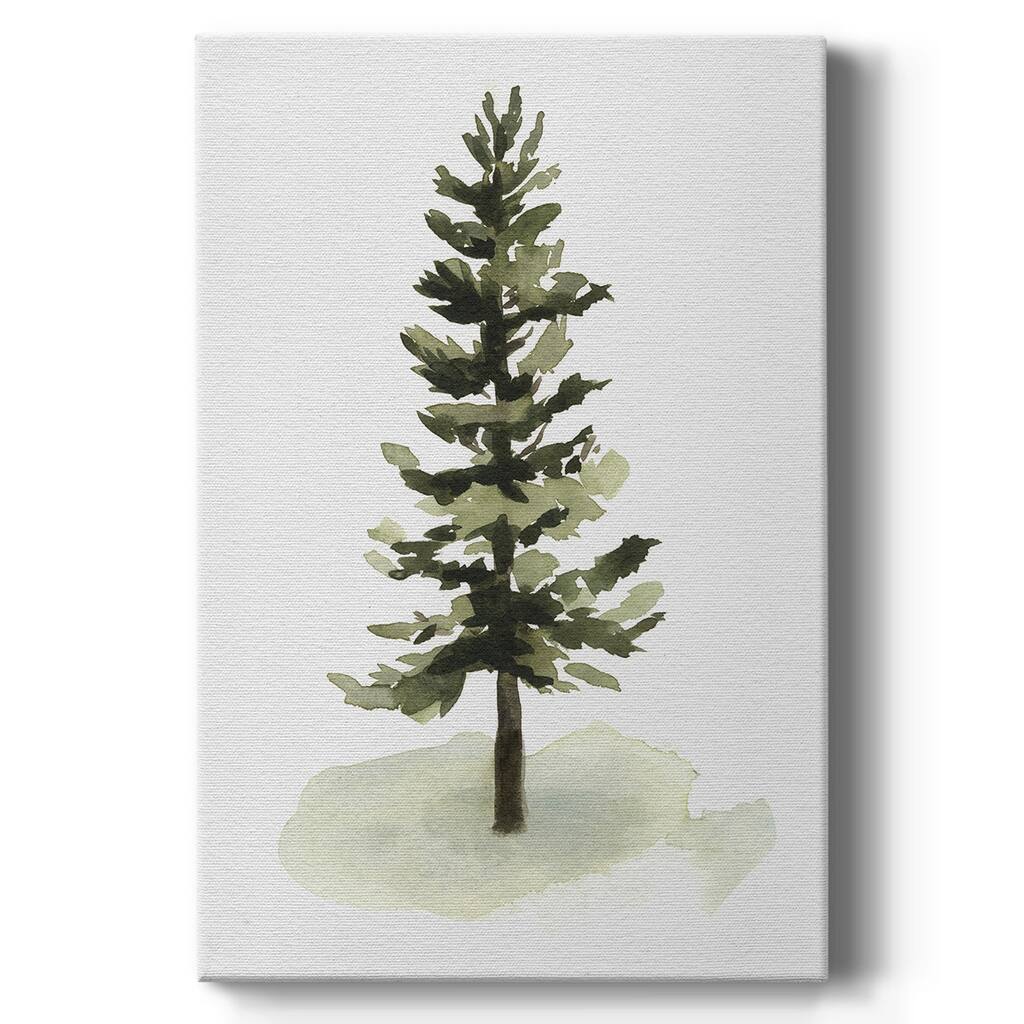 Watercolor Pine II Premium Gallery Wrapped Canvas - Ready to Hang