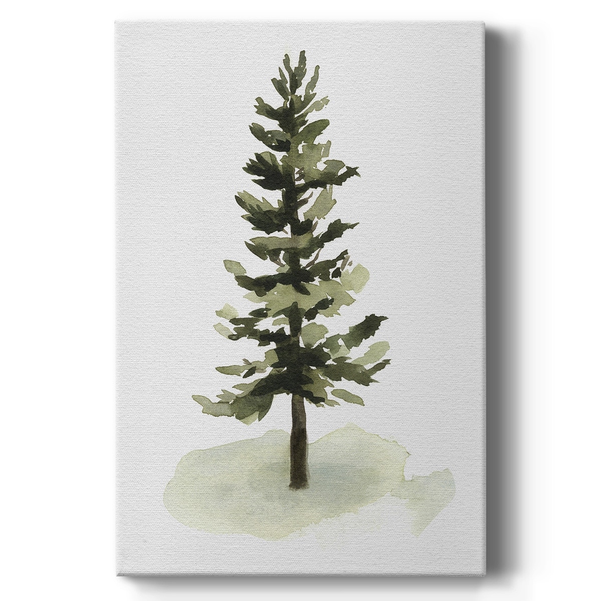 Watercolor Pine II Premium Gallery Wrapped Canvas - Ready to Hang