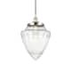 Option Polished Nickel / Seedy