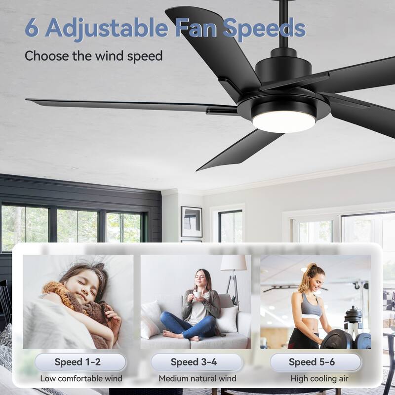 60" Modern Black ABS 5-Blade Propeller Ceiling Fan with Light and Remote