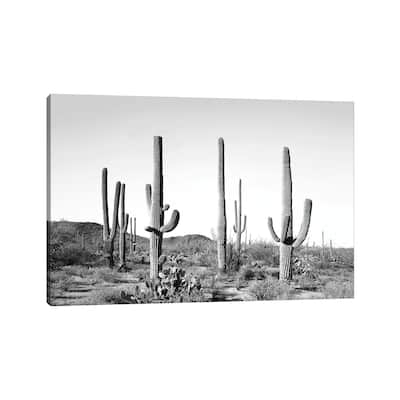 iCanvas "Gray Cactus Land" by Sisi & Seb Canvas Print