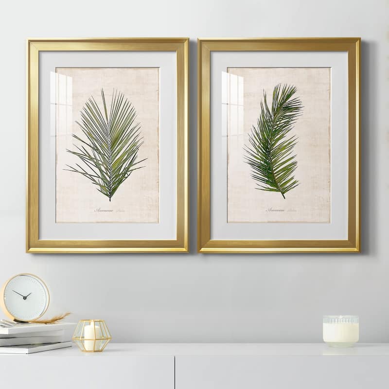 Palm Botanical I Premium Framed Print - Ready to Hang