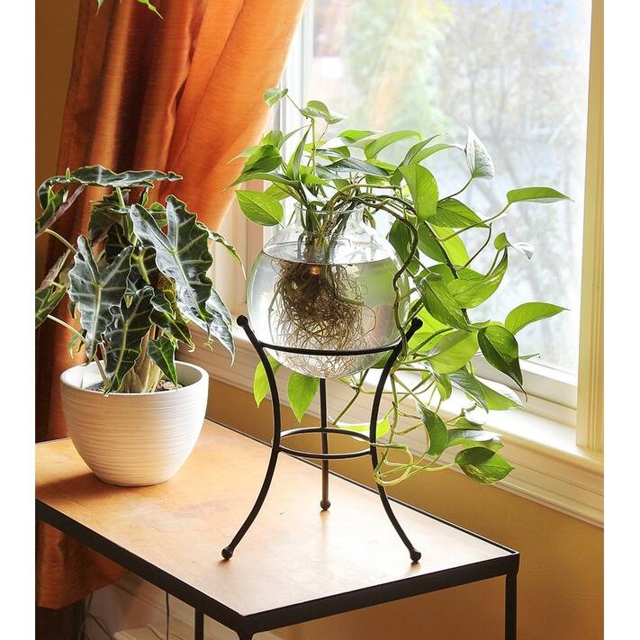 Achla Designs Multi-Use Stand for Planter, Birdbath, Ball, 11.25 Inch Tall, Black Powder Coat Finish