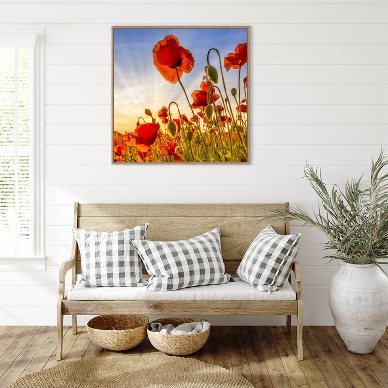 Fascinating Poppies by Melanie Viola Framed Canvas Wall Art Print