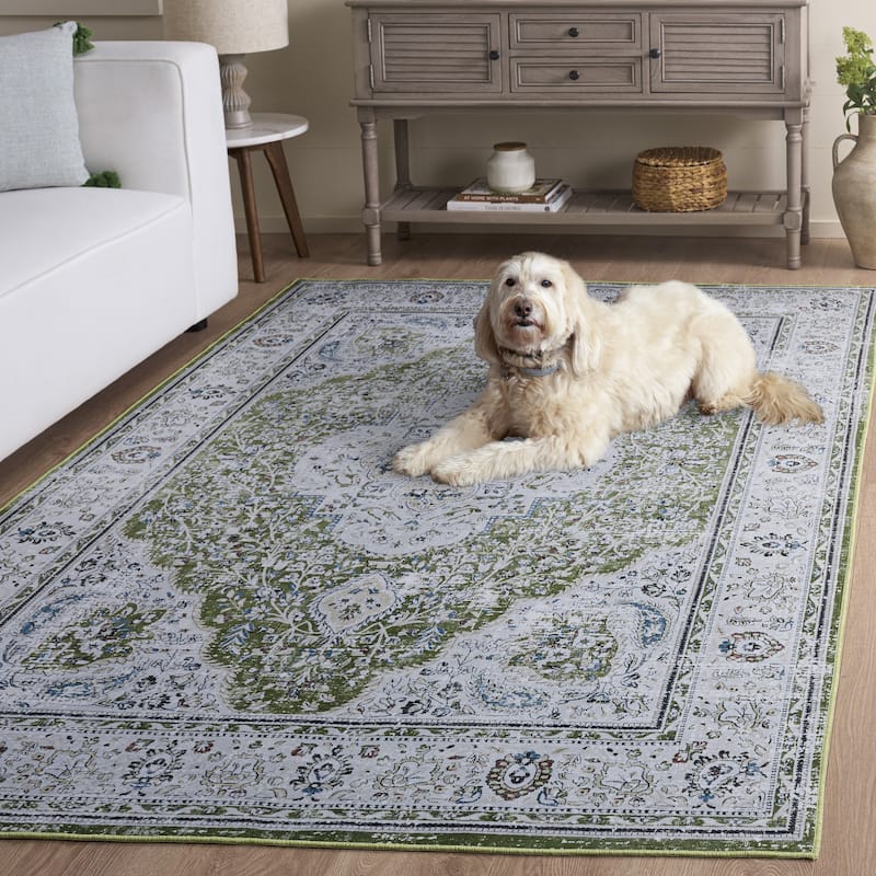 SAFAVIEH Tucson Machine Washable Slip Resistant Willa Traditional Rug