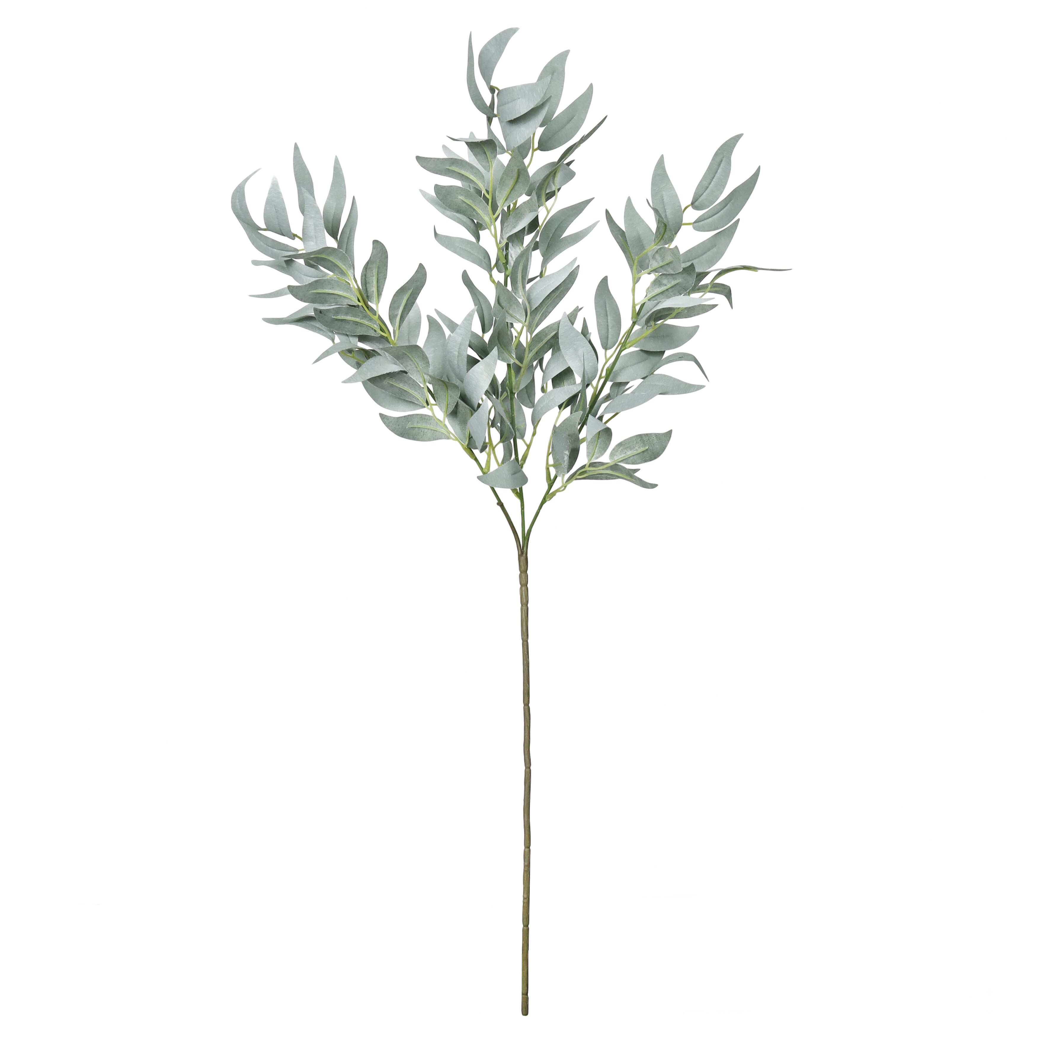 37.5 Greenery & Olive Stem by Bloom Room