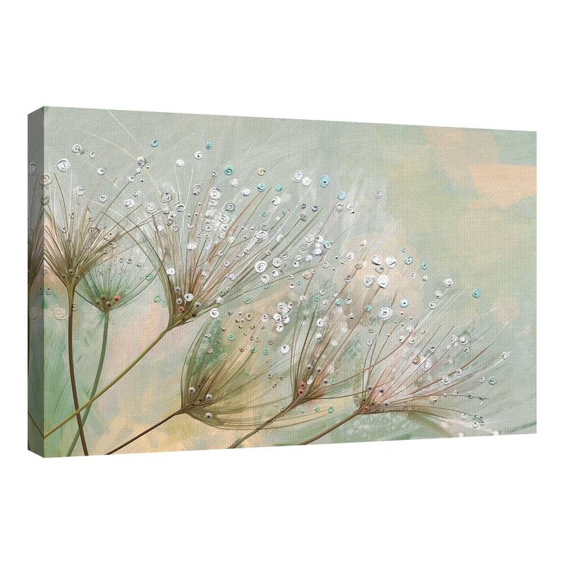 Dewdrop Colors by Studio Arts Canvas Art Print