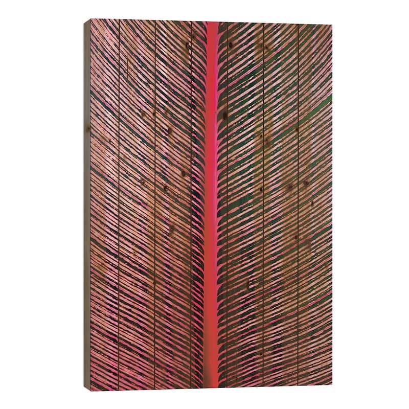 Pink-Striped Heliconia, Heliconia iconia, HTBG, Hawaii Print On Wood by Stuart Westmorland - Multi-Color - 40x26x1.5