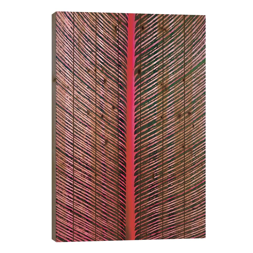 Pink-Striped Heliconia, Heliconia iconia, HTBG, Hawaii Print On Wood by Stuart Westmorland - Multi-Color