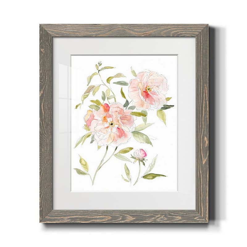 Sketchbook Cottage Rose II-Premium Framed Print - Ready to Hang