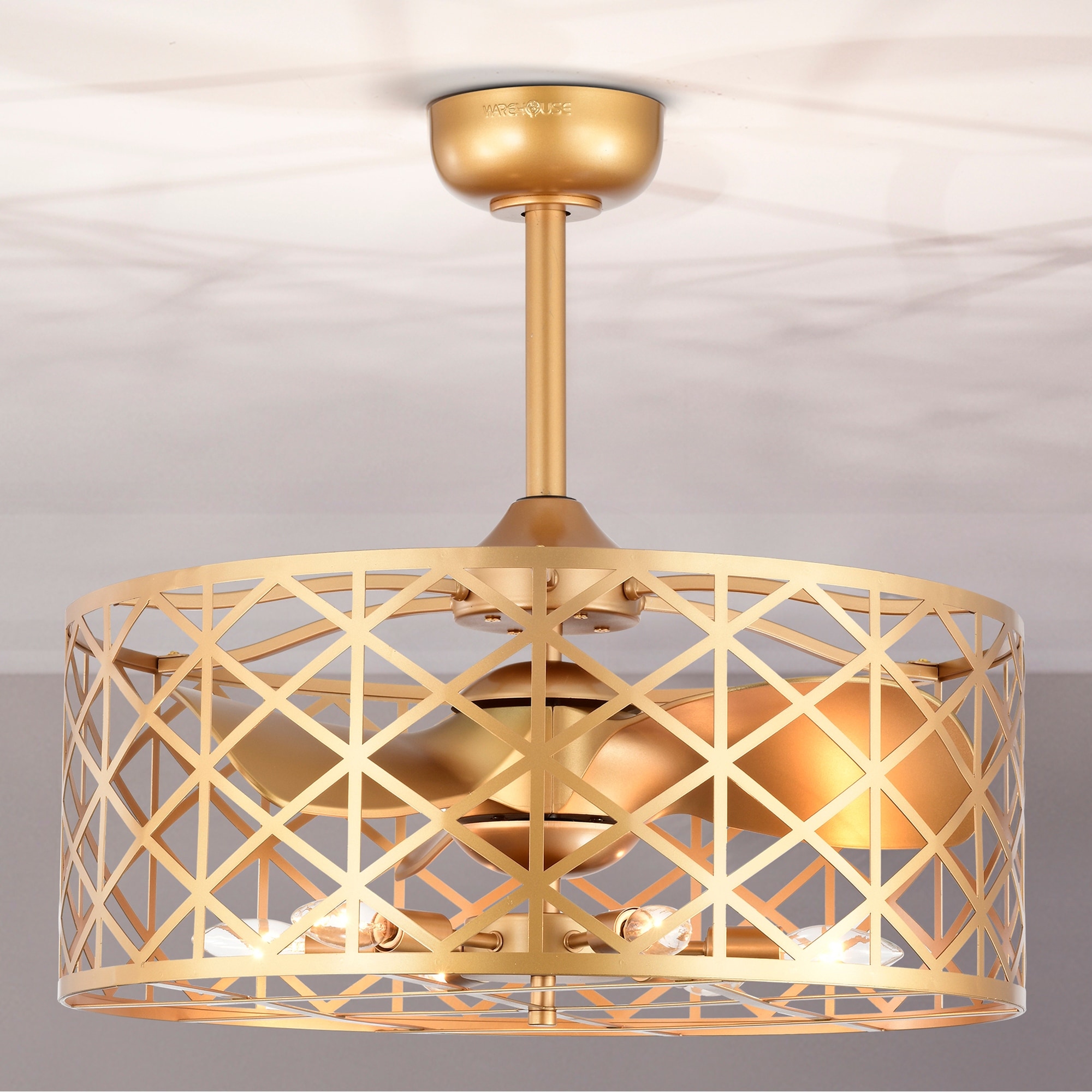 Warehouse of Tiffany Clemente 24-inch Matte Gold 6 Lights 3 Blades Lighted Ceiling Fan with Remote