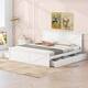 Option White