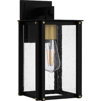 Robbins 1-Light Matte Black Outdoor Wall Lantern