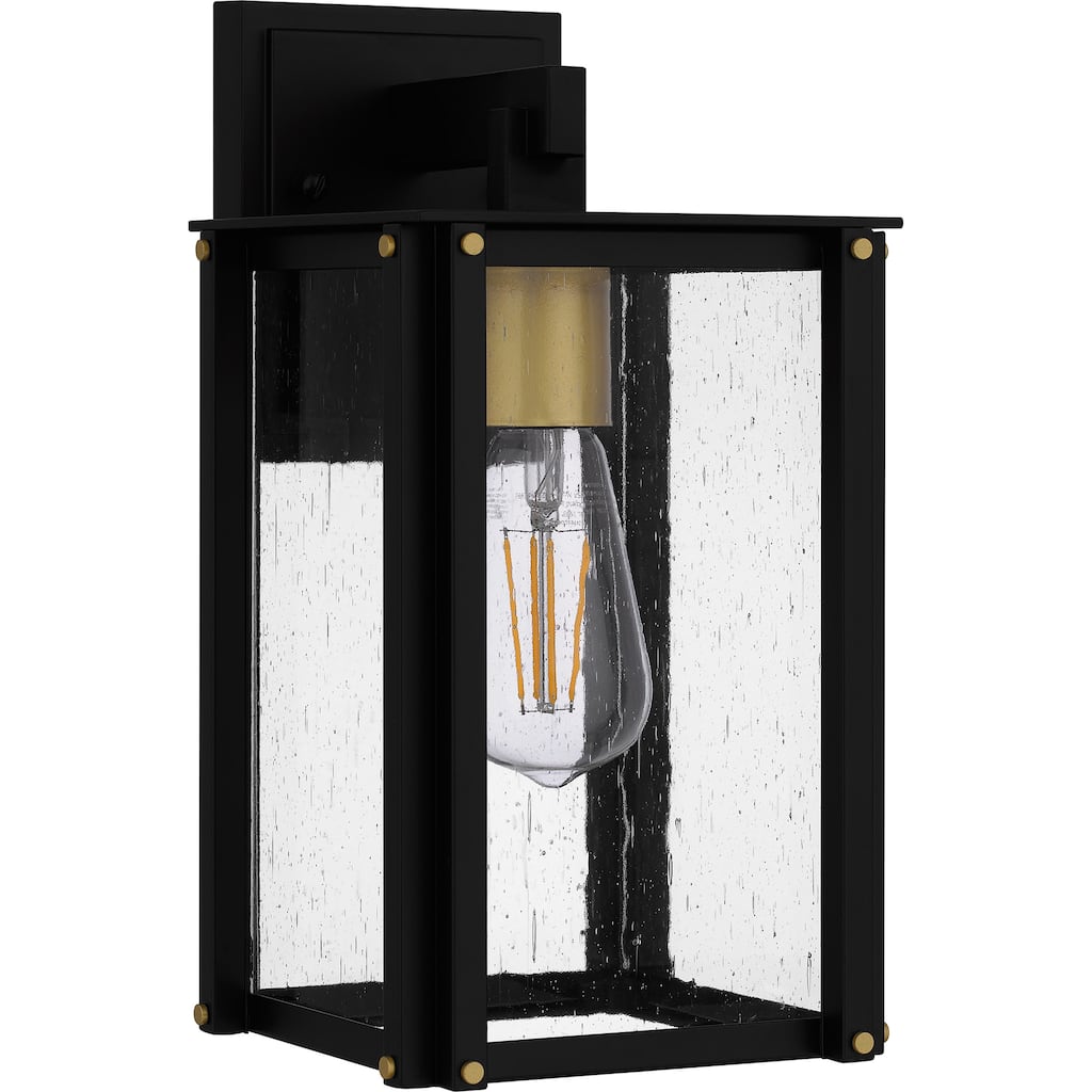 Robbins 1-Light Matte Black Outdoor Wall Lantern