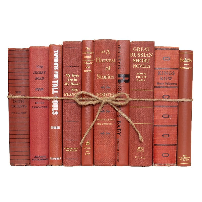 Books Red Decorative Accessories: Vintage Sienna ColorPak