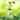 Glitzhome Outdoor Solar Lighted Garden Stake Frog Hummingbird Design