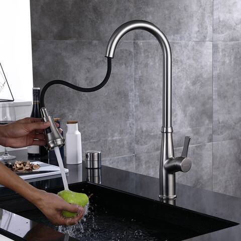 Brushed Nickel Kitchen Faucet with Pull Out Spray - 9*10*19.5