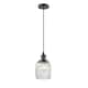 Option Oil Rubbed Bronze / Clear Halophane