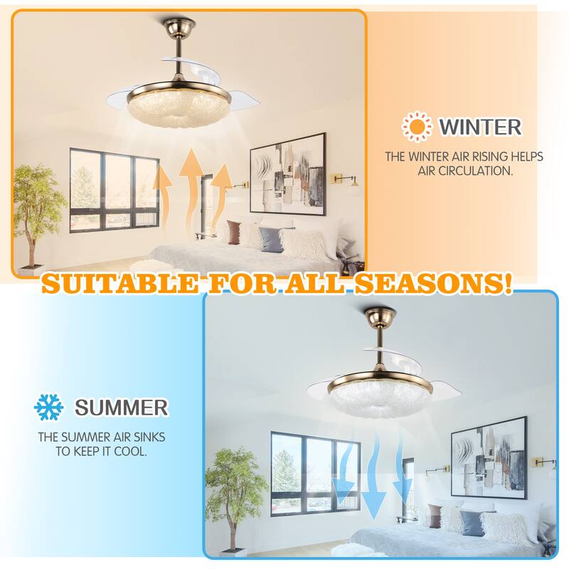 CurveCurio Galaxy-Vibe 42" Retractable Ceiling Fan with Matte Gold Finish & LED Lights – 3 Color Tones, Remote Controlled
