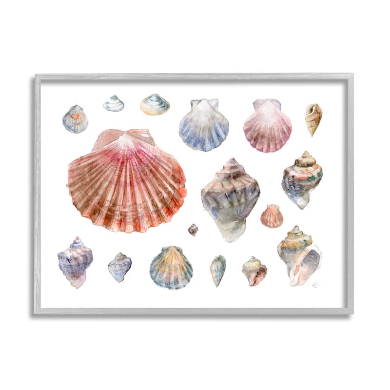 Stupell Nautical Shell Watercolor Study Patterned Aquatic Life Framed Wall Art - Multi-Color