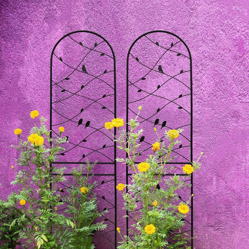 2 Pack Metal Garden Trellis Rustproof Trellis for Climbing Plants Outdoor Flower Support