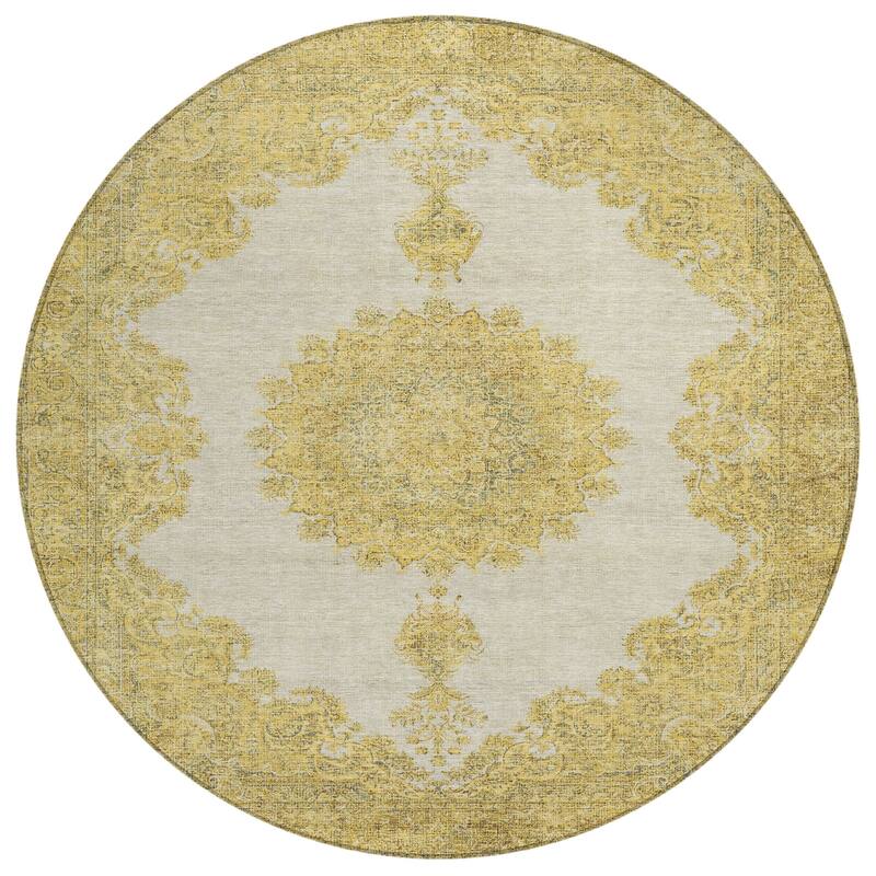 Machine Washable Indoor/ Outdoor Vintage Traditional Chantille Rug