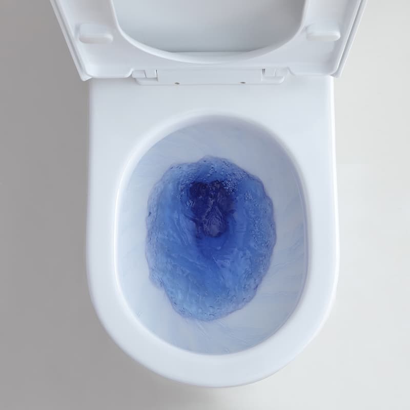 HOROW 1 Piece Dual Flush Toilet White 0.8/1.28 GPF Seat Included 10 Inch Rough In - N/A