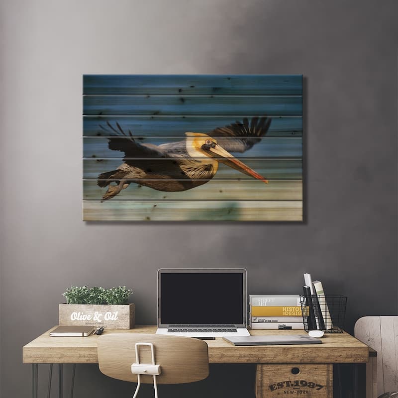 Brown Pelican Flying, North America Print On Wood by Tim Fitzharris - Multi-Color