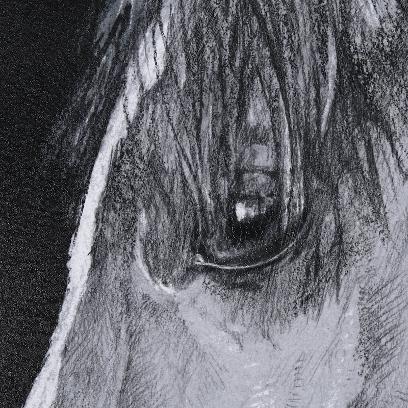 Equestrian Portrait Framed Art Print