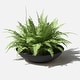preview thumbnail 95 of 110, Mason Series Lane Bowl Planter