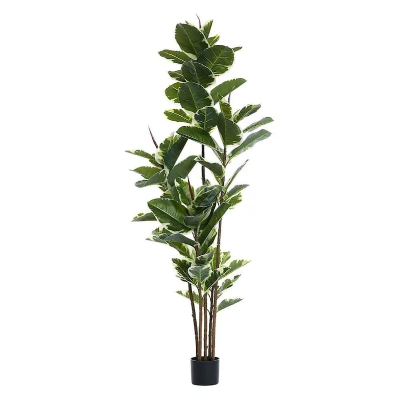HomeRoots 73" Green Artificial Rubber Tree in a Black Pot - 6.69 in. x 72.83 in. x 6.69 in.