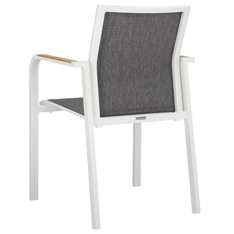 SAFAVIEH Outdoor Living Dexter Armchair with Teak (Set of 2)