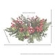 preview thumbnail 2 of 0, 14" Natural Touch Boxwood Fir Glass Candle Holder