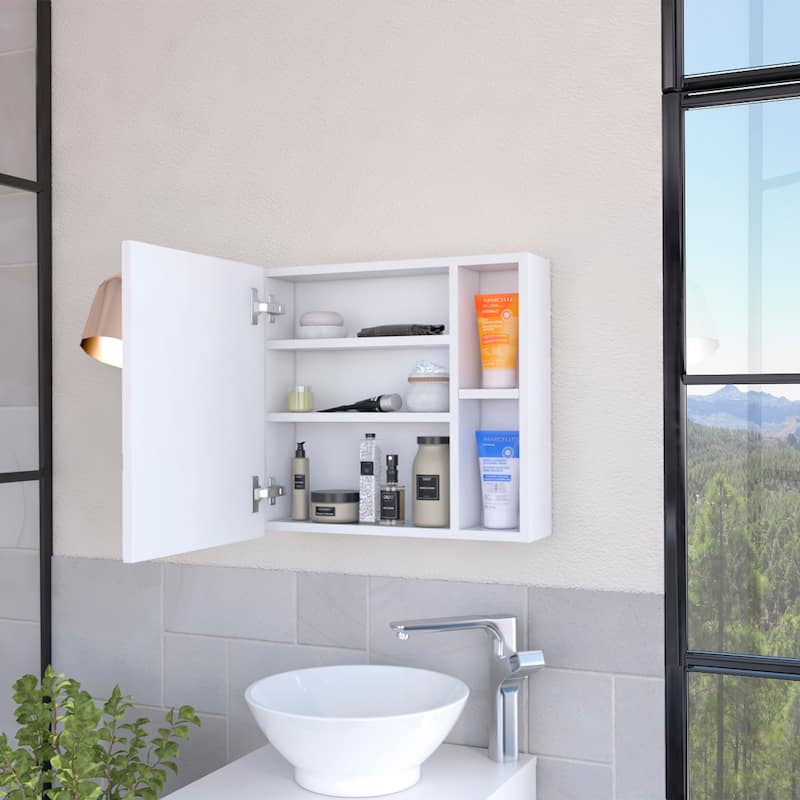Myrick 2-Shelf Medicine Cabinet with Mirror