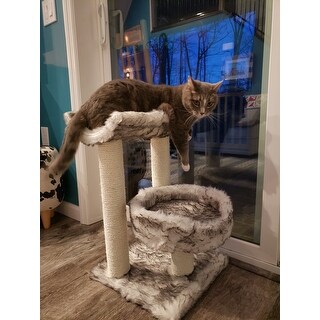 trixie isaba cat tree