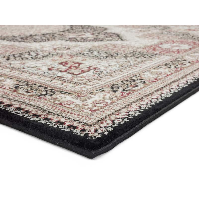 Vaso Collection Traditional Polypropylene Area Rug